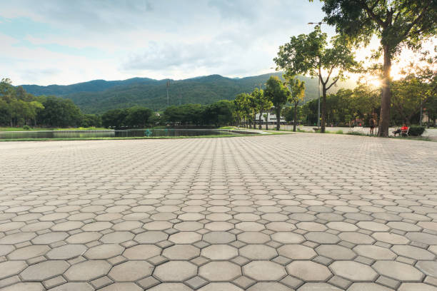 Best Paver Driveway Replacement  in Fort Pierre, SD